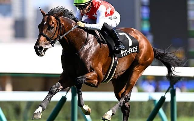 【日経新春杯想定騎手】ヴェローチェエラは川田将雅騎手、ホールネスは坂井瑠星騎手