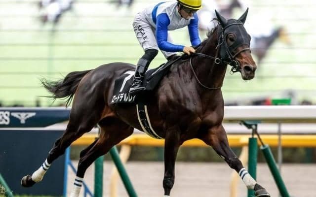 【日経新春杯見どころ】着実に地力強化しているロードデルレイ