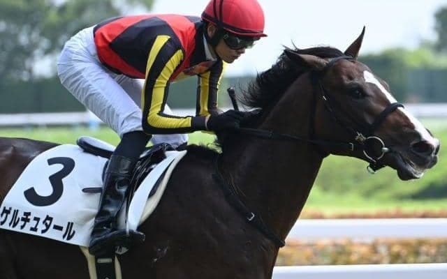 【京成杯見どころ】ポテンシャルが高いゲルチュタール