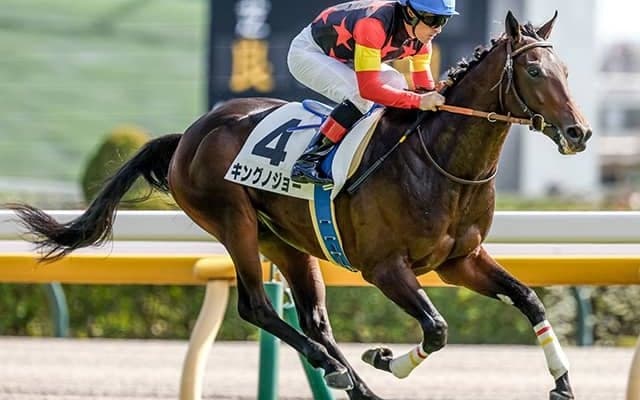 【京成杯想定騎手】キングノジョーはC.ルメール騎手、パーティハーンは戸崎圭太騎手