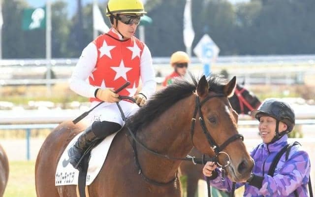 【日経新春杯予想オッズ】ヴェローチェエラが予想1番人気