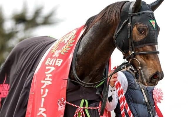 エリカエクスプレスがフェアリーSでレコードV エピファネイア産駒のトレンドに変化か