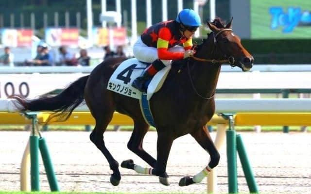 【京成杯予想オッズ】キングノジョーが予想1番人気
