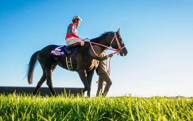 三冠馬コントレイル産駒が今夏いよいよデビュー 25年新種牡馬たちの評判は？