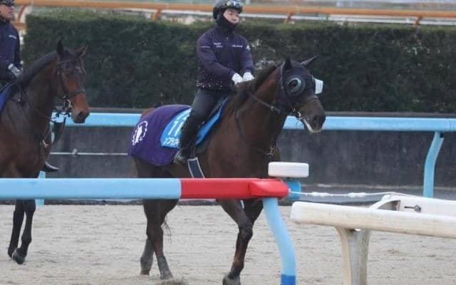 ドンフランキーなど、先週の入厩情報/栗東トレセンニュース