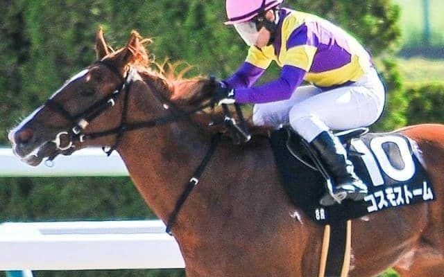 27年ぶりの快挙へ 芝未勝利ながらもGIで上々の走り見せる“二刀流”が京成杯制覇を狙う