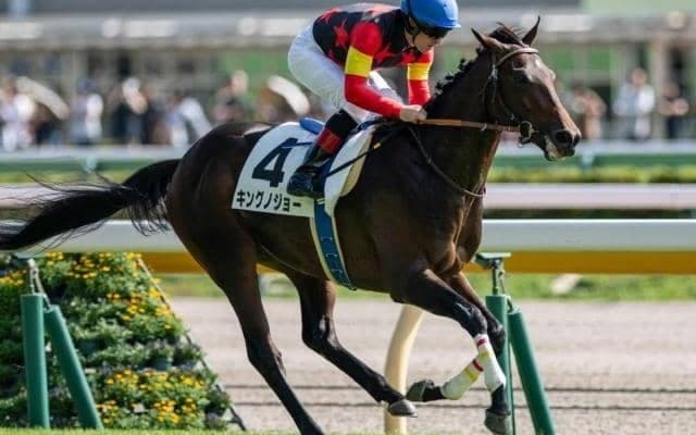 セレクト3.1億円の超良血馬 京成杯Vで史上最高額のJRA重賞ウイナーとなるか