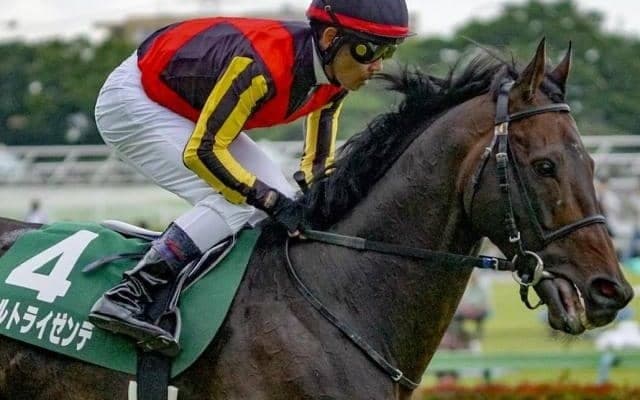 コントレイル世代の“苦労人”が復帰戦 日経新春杯史上初の8歳馬V狙う