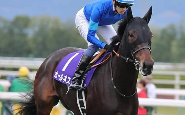 【日経新春杯予想】AI大注目のホールネス 「連軸を任せられそう」な理由とは