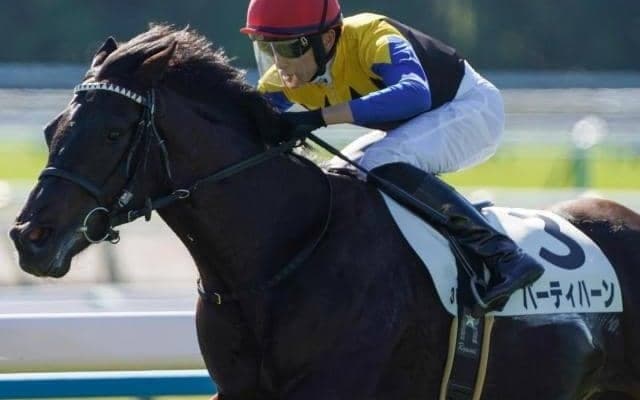 金子オーナー×友道厩舎の“ダービータッグ” 2.7億円良血馬が京成杯に挑む