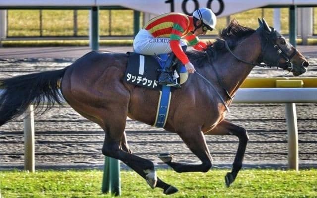 武豊騎手×幸四郎師が4度目の兄弟重賞制覇へ 日経新春杯に期待のドゥラメンテ産駒で参戦