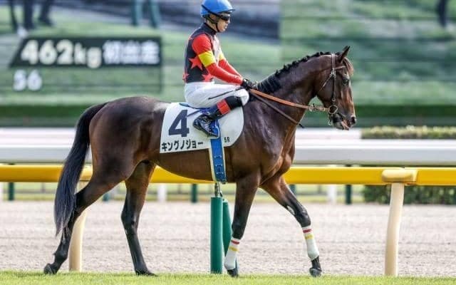 【京成杯出走馬・騎手確定】キングノジョー＆C.ルメール騎手、パーティハーン＆戸崎圭太騎手など14頭