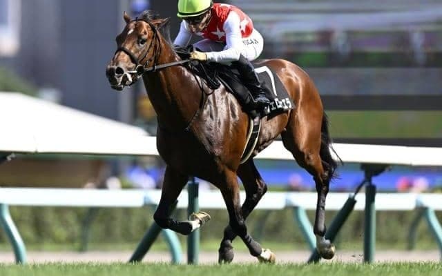 【日経新春杯出走馬・騎手確定】ヴェローチェエラ＆川田将雅騎手、ホールネス＆坂井瑠星騎手など16頭