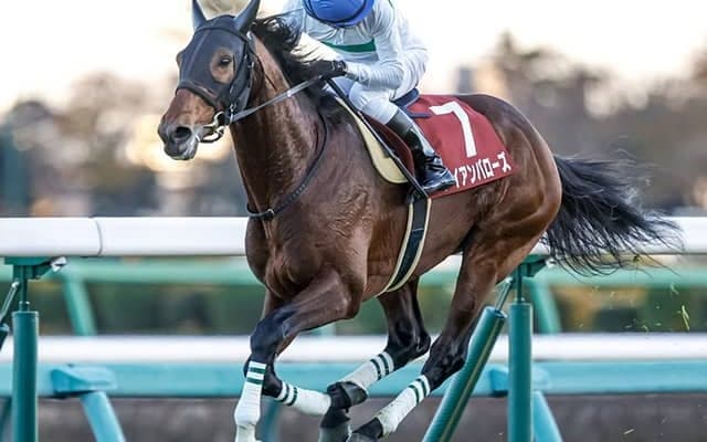 23年ステイヤーズS覇者 アイアンバローズが放牧先で病気のため死す