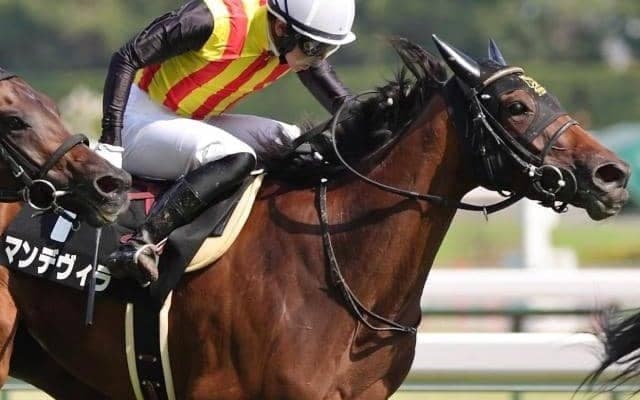 きょうだいに重賞馬3頭 日経新春杯出走ヴェルトライゼンデの半妹が同場同日V狙う