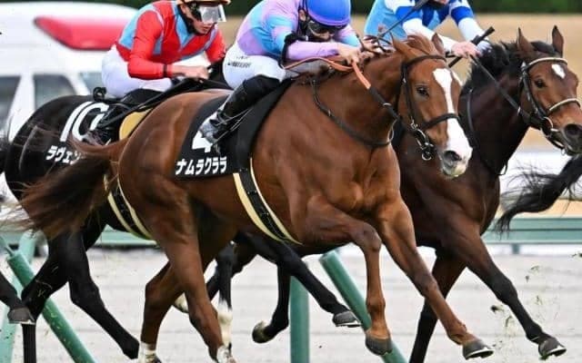 半姉は重賞5勝馬ナムラクレア ナムラクララが紅梅Sでオープン初V狙う