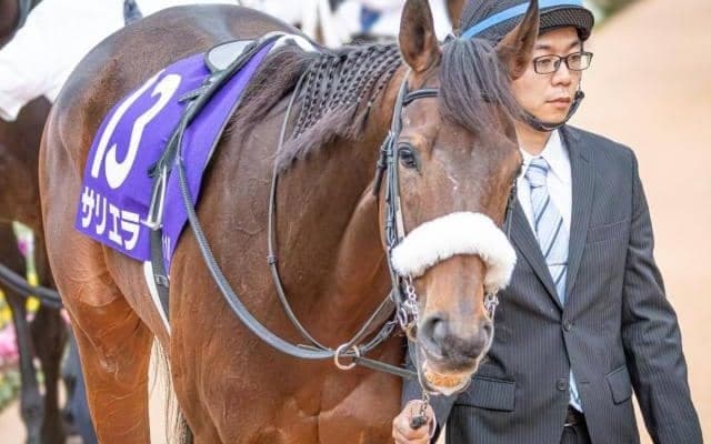 良血牝馬サリエラ 日経新春杯で悲願の重賞初制覇なるか