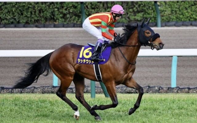 武豊騎手 今週の騎乗馬…武幸四郎師のタッチウッドとコンビ