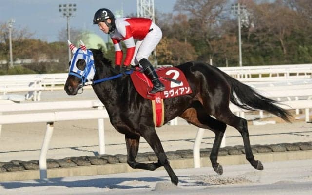 【園田・コウノトリ賞】ラヴィアンが4馬身差完勝…廣瀬「4コーナー抜群の手応え」