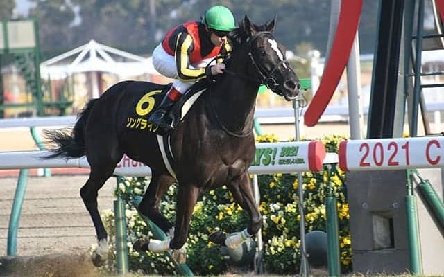 全馬重賞勝ち、6頭中4頭がGI馬 「サ行」の馬が紅梅ステークスを勝ったら要注目