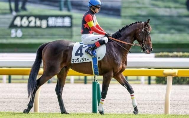 【京成杯枠順確定】キングノジョーは6枠9番、ゲルチュタールは5枠8番