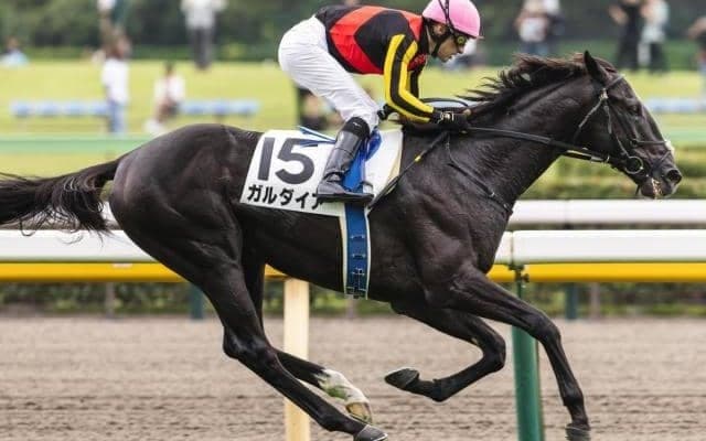 半姉はNHKマイルC覇者のアエロリット ガルダイアが京成杯Vなるか