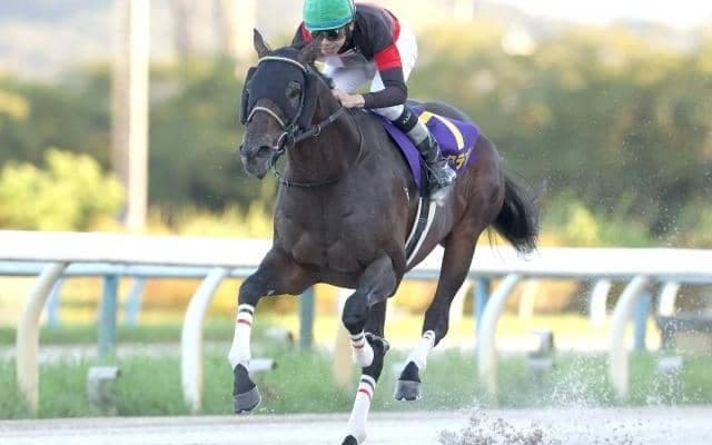 ダートグレード競走3勝のディクテオンが抹消 大井競馬に移籍へ