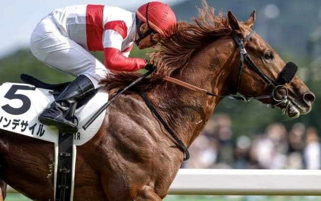 【AJCC想定馬・騎手】ダノンデサイル、コスモキュランダなど20頭