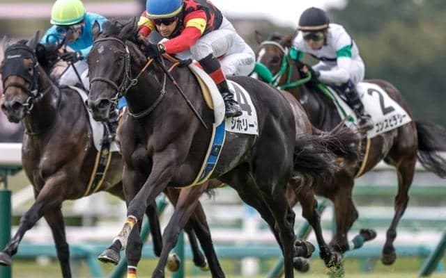【今日の注目ポイント】中山で短距離OPカーバンクルSと中京で3歳牝馬限定戦の紅梅S