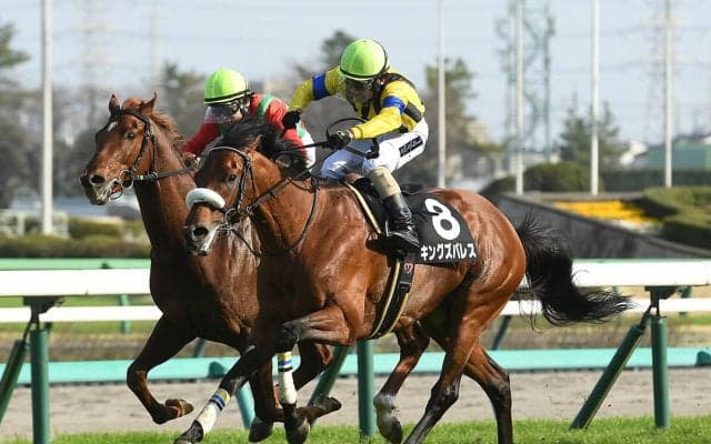【競馬予想】日経新春杯、タフな持久力勝負が見込まれる一戦にあって不気味な「関東馬」