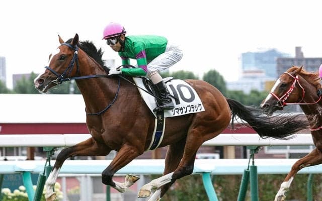 【競馬血統予想】京成杯で注目は？　「出世レース」は中山コースが得意な血を持つ２頭に期待