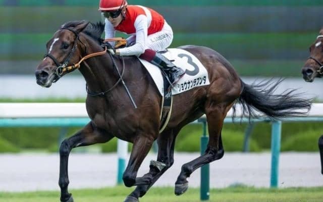 【AI予想・日経新春杯】非根幹距離のハンデ重賞で混戦ムード！ 人工知能は実力馬の重賞初制覇に期待
