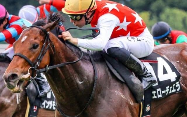 日経新春杯は「前走条件戦組」が狙い目 今年の該当馬3頭はいずれもハイレベル