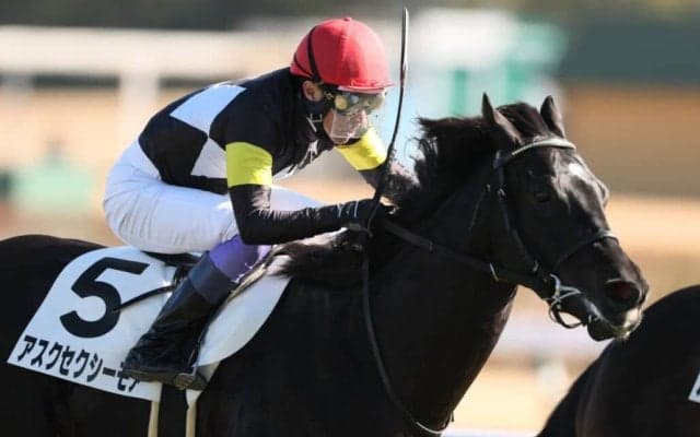 【中京6R】武豊×福永厩舎アスクセクシーモアが初勝利