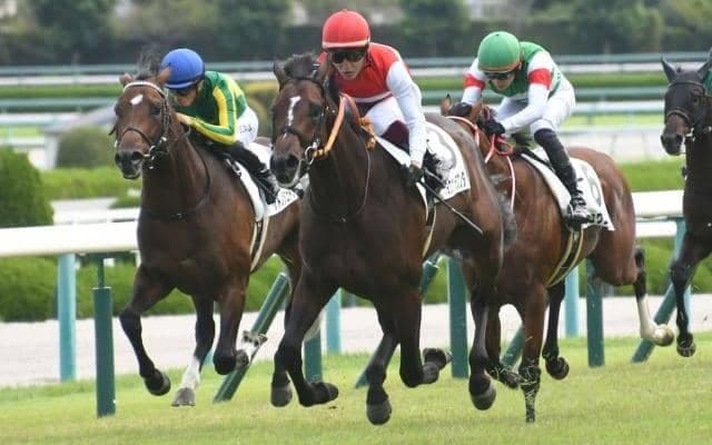 【今日の注目ポイント】中京で日経新春杯と中山で京成杯の2重賞