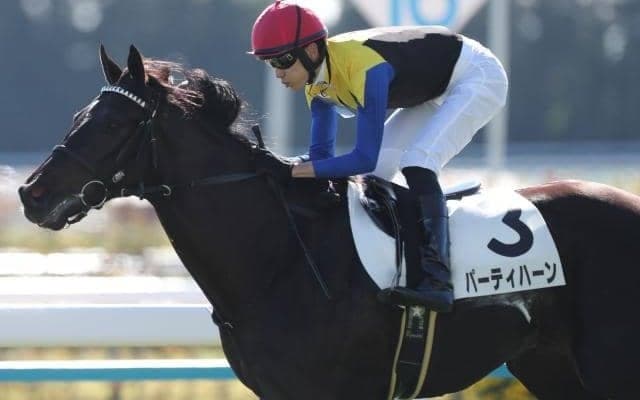 【京成杯予想】昨年はダノンデサイルがここから飛躍 クラシックへの登竜門