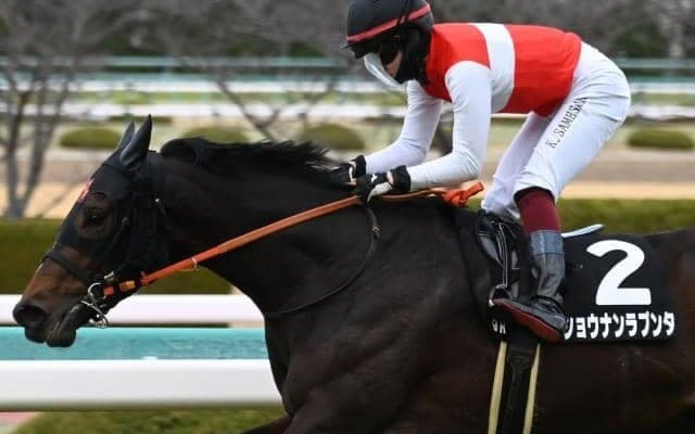 【日経新春杯予想】上下5.5kgの斤量差がカギに 今年は中京2200mで行われるハンデ戦
