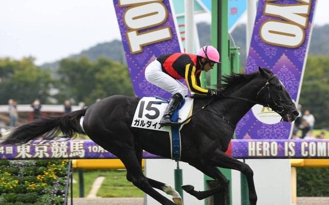 【競馬予想】注目の京成杯、クラシックに直結する一戦で穴党記者が推奨する伏兵２頭