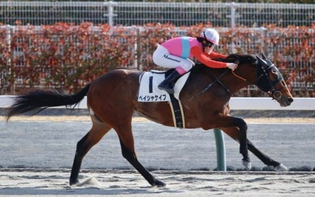 【中京6R】永島まなみが2025初勝利…最後方から最内強襲