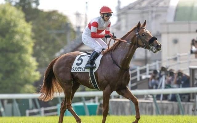 小倉競馬が開幕 AJCCなど3重賞/今週の競馬界の見どころ