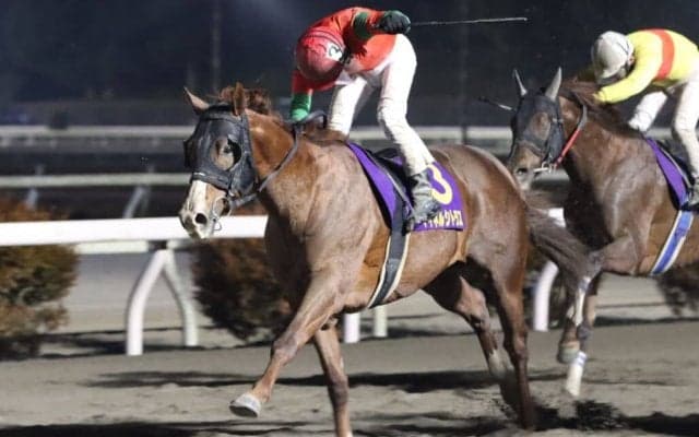 【高知・大高坂賞】マイネルシトラスが黒船賞の優先出走権獲得