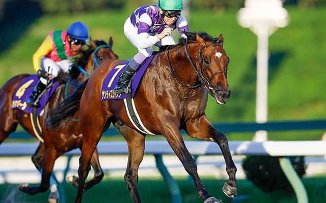 【プロキオンS想定騎手】サンライズジパングは坂井瑠星騎手、ドゥラエレーデは川田将雅騎手