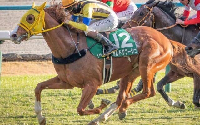 イクイノックス、ドウデュース世代の“苦労人” ケガを乗り越えAJCCで悲願の重賞初Vなるか