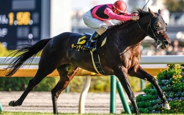 【AI予想・AJCC】前走4角でのポジショニングに明確な傾向あり！ 波乱を示唆する人工知能の本命候補