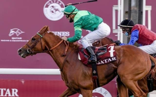 今年からは日本で供用 凱旋門賞馬ソットサスの初年度産駒成績は？