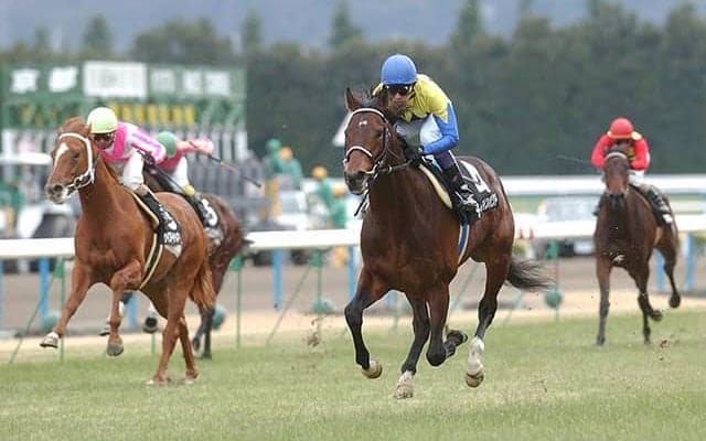 伝説の始まり ディープインパクトの若駒SノーステッキVから20年