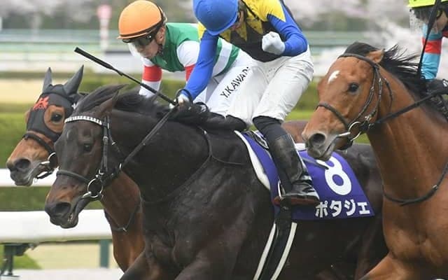 AJCCでGI馬が約1年10カ月ぶり復帰 史上最長「中664日」で重賞制覇なるか