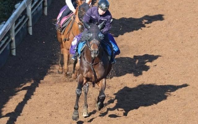 ヤマニンウルスなど、先週の入厩情報/栗東トレセンニュース