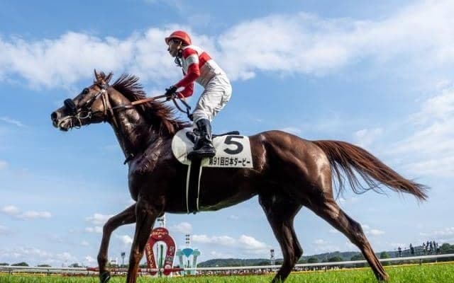 【AJCC予想オッズ】ダノンデサイルが予想1番人気