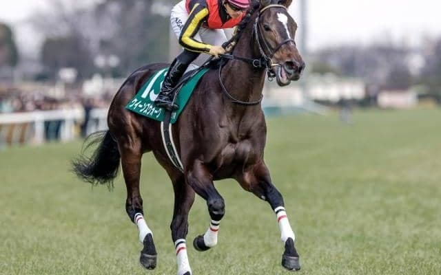 【小倉牝馬S予想オッズ】クイーンズウォークが予想1番人気